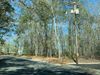 Melba Dr. photo